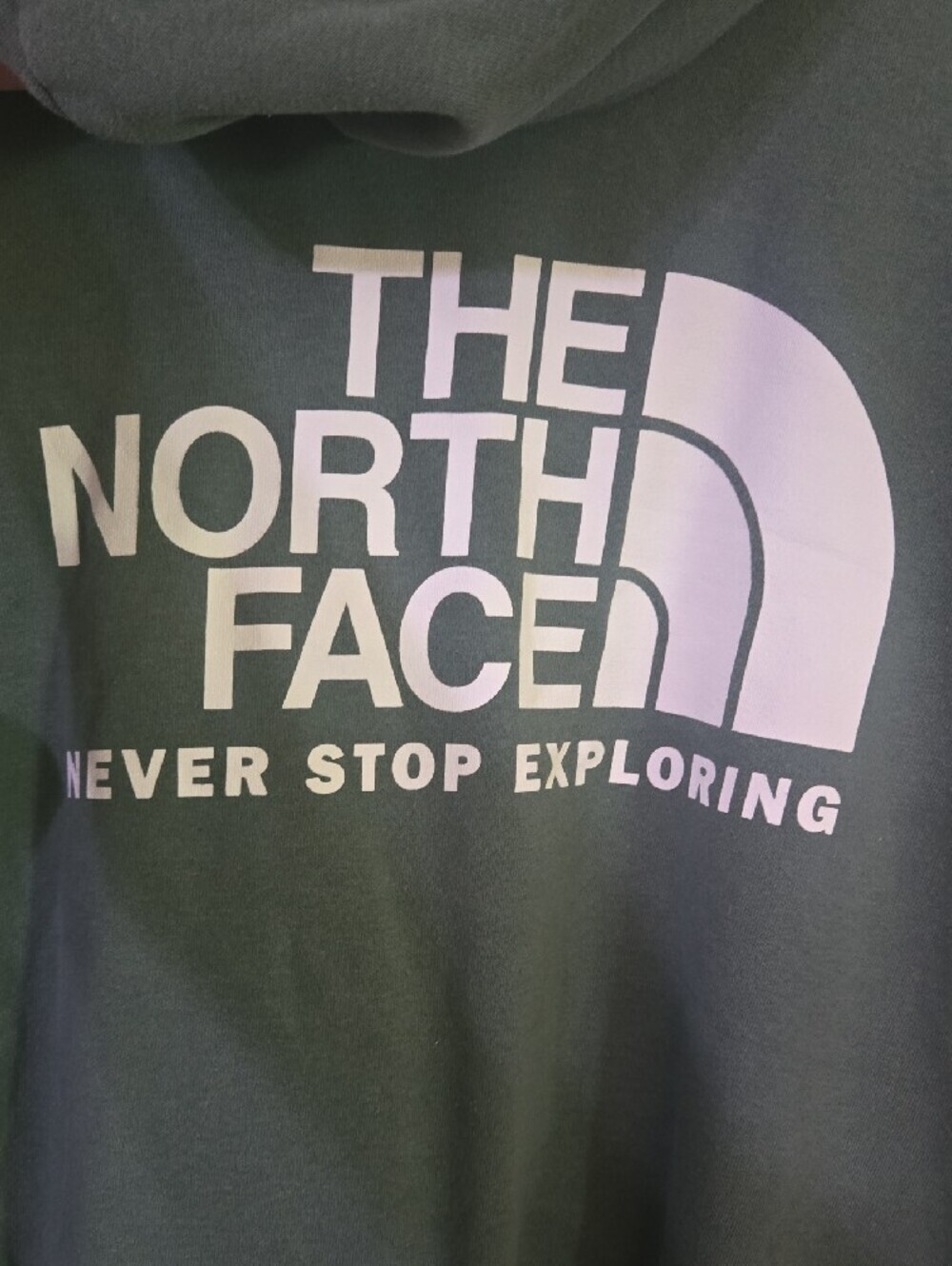 The North Face Men's Pullover Hoodie in Sage Green - Picture 4 of 5